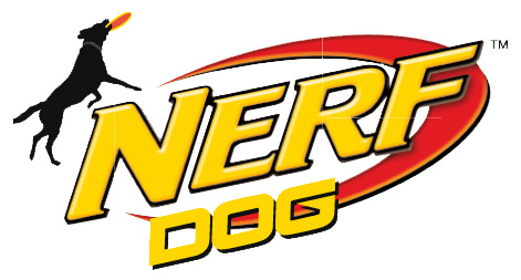 Nerf liten kopiera